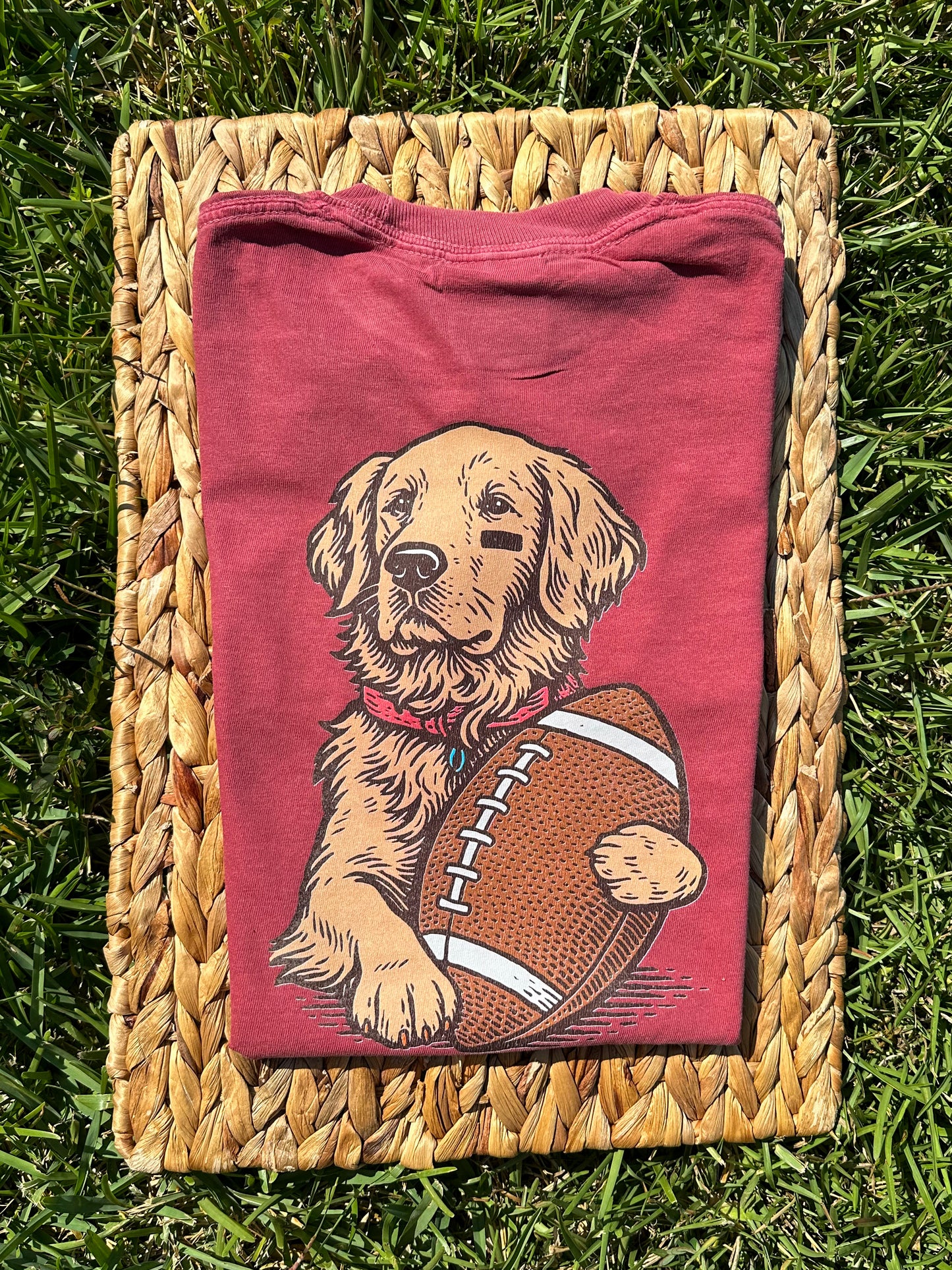 Football dog