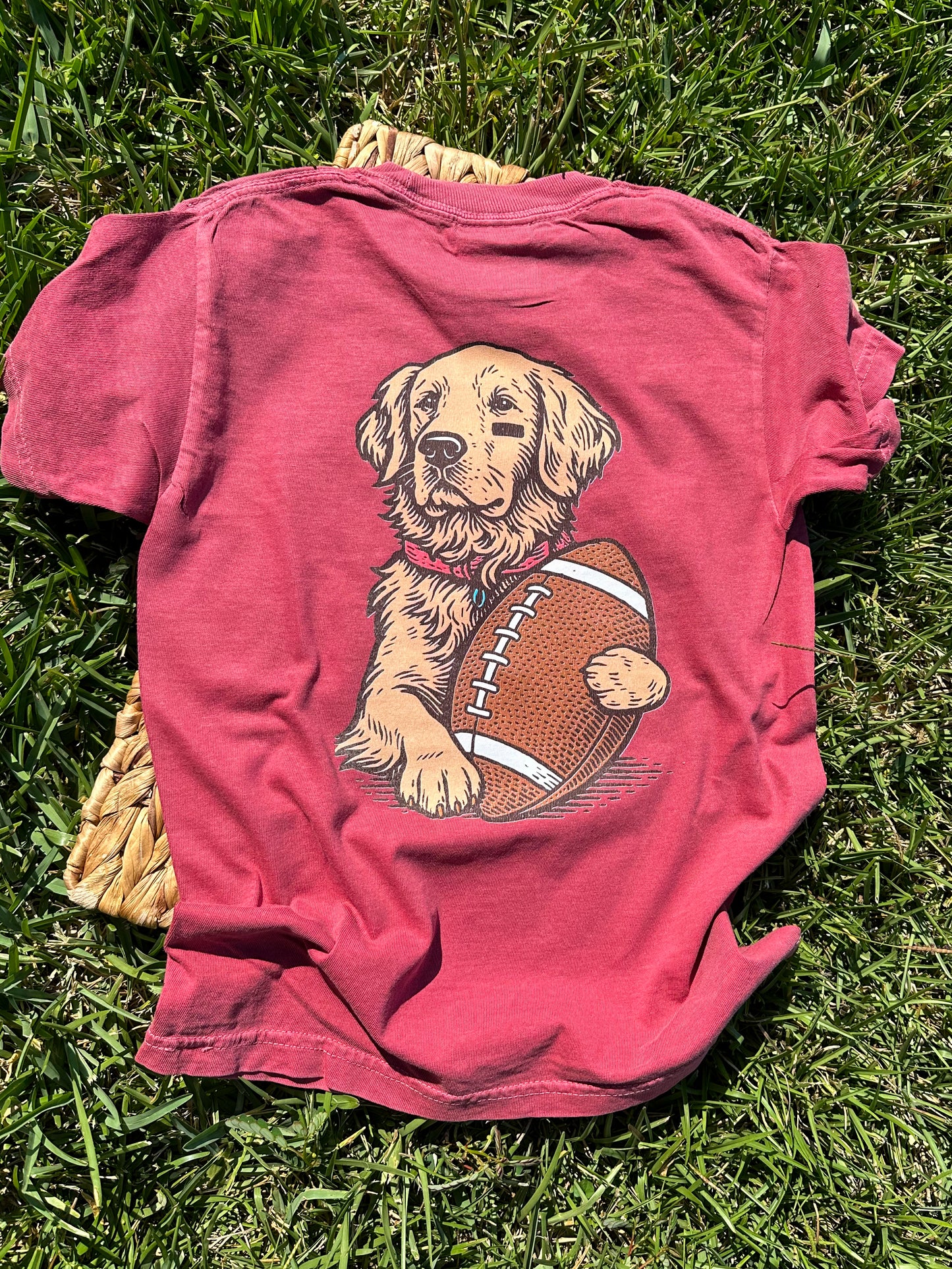 Football dog