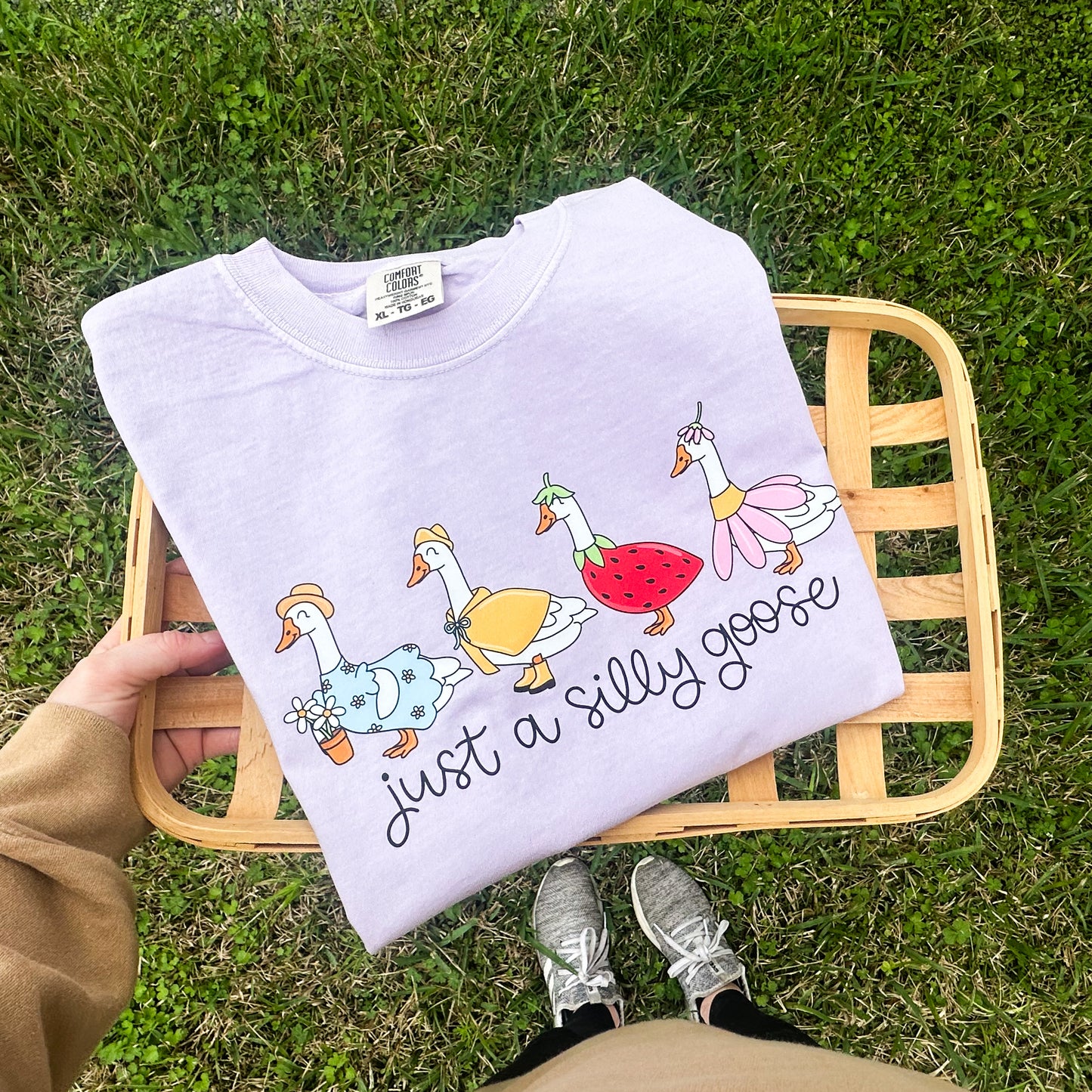 Just a Silly Goose- infant & toddler