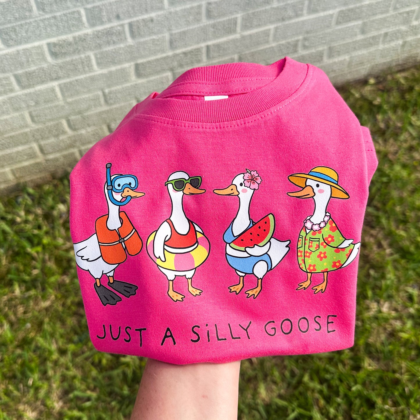 Silly Goose Summer