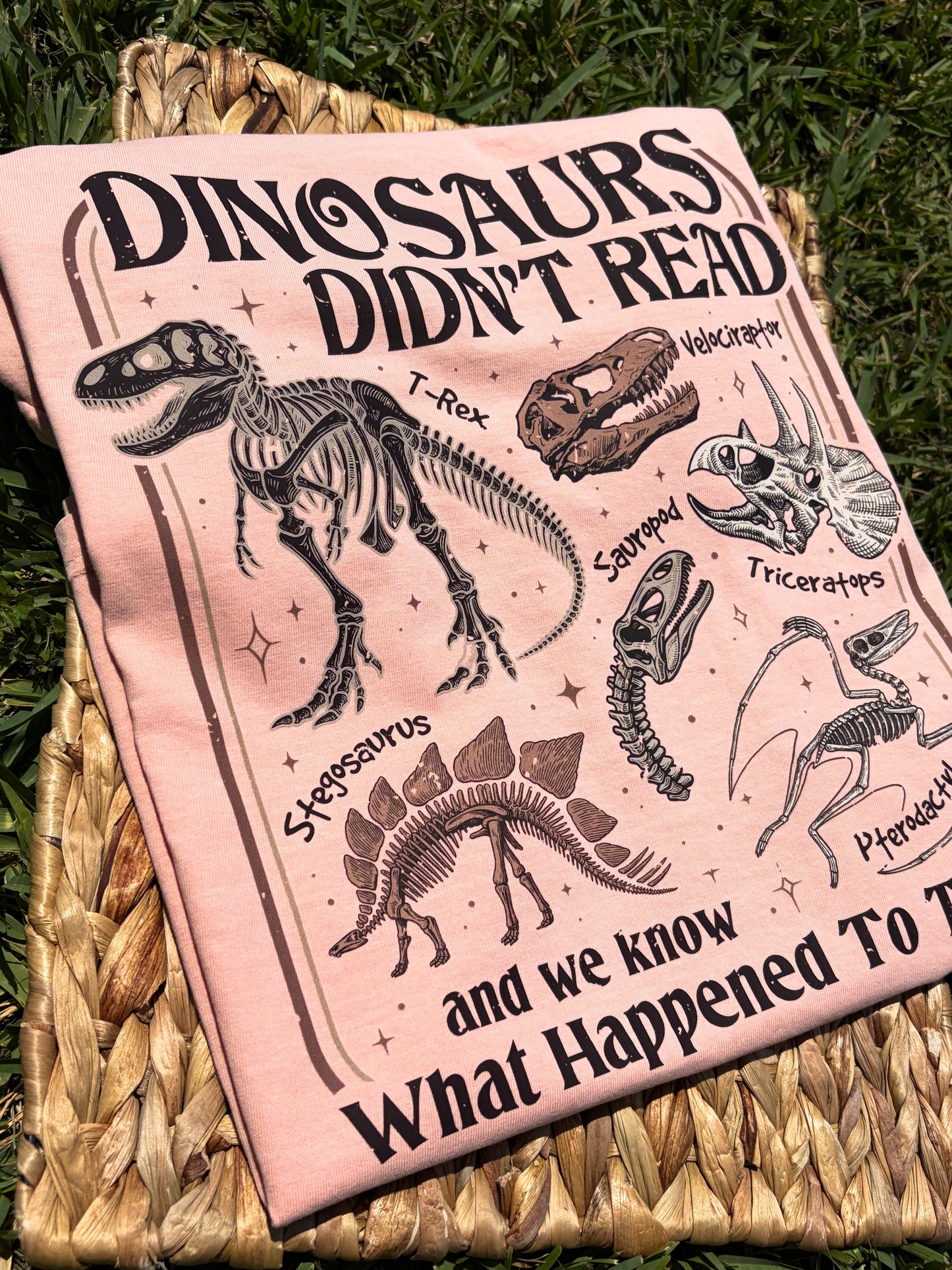 Dinosaurs Didn't Read