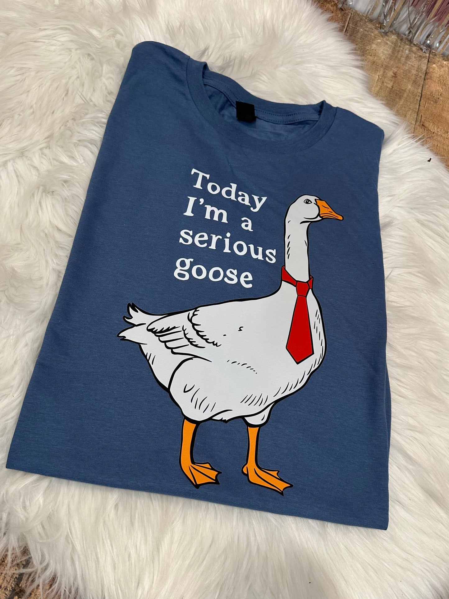 Serious Goose