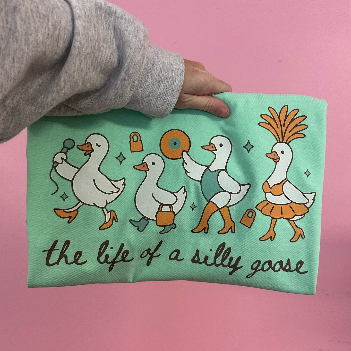 Life of a silly goose