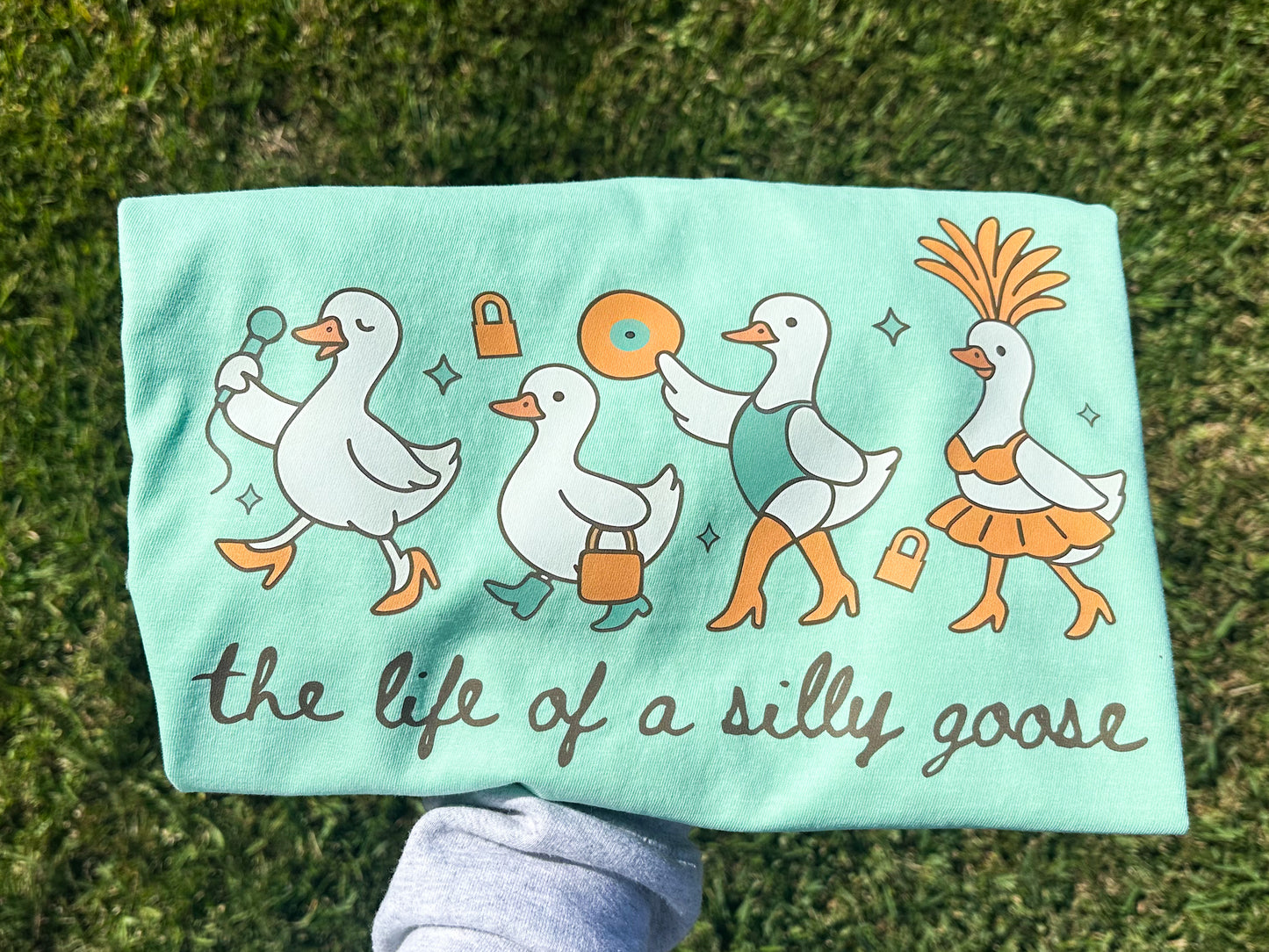 Life of a silly goose