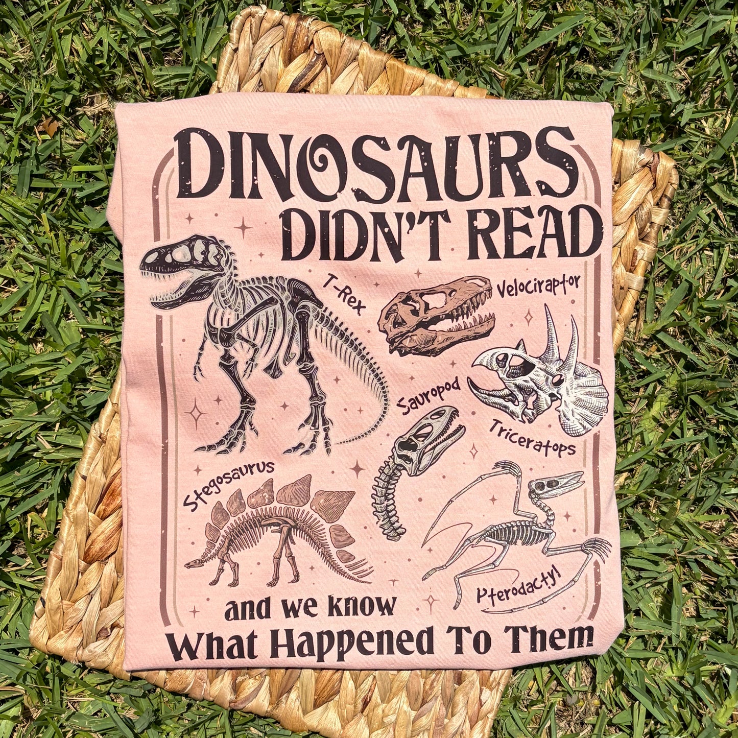 Dinosaurs Didn't Read