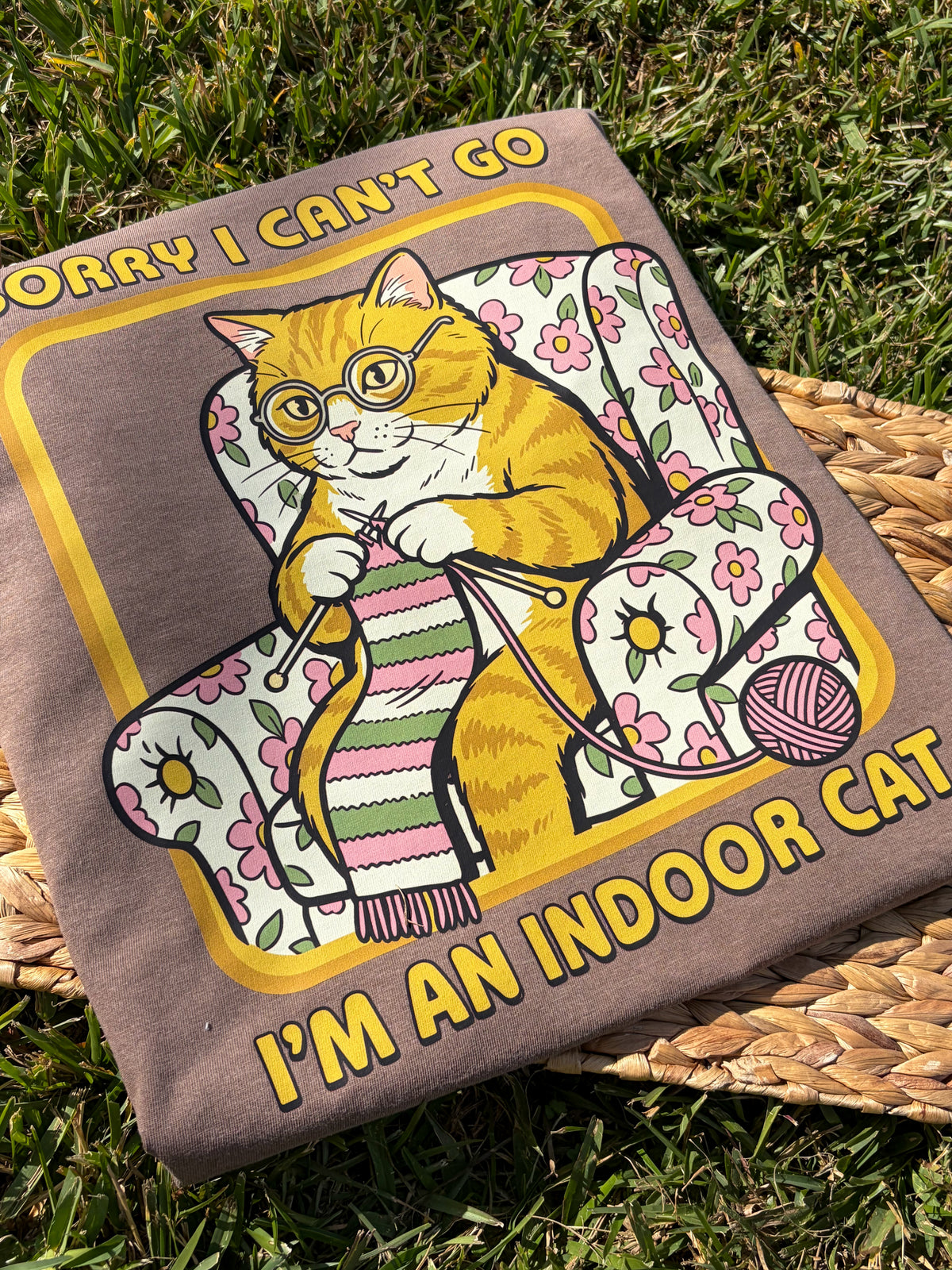 Indoor Cat