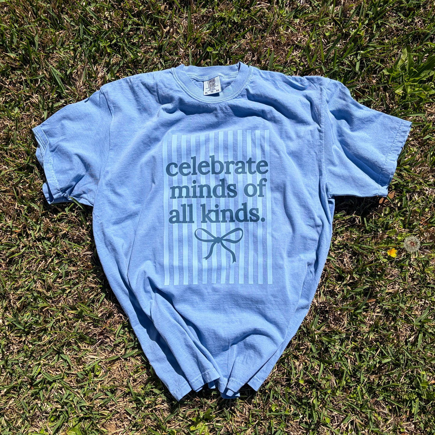 Celebrate Minds of All Kinds